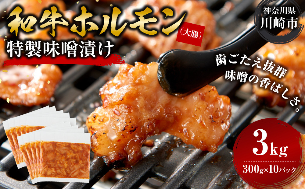 ＜訳アリ＞和牛ホルモン（大腸）　特製味噌漬け　3kg(300g×10）【2026年11月発送】 【kw0096-0035-11】