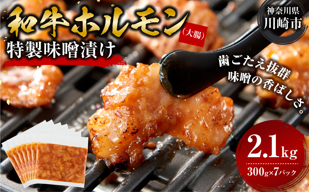 ＜訳アリ＞和牛ホルモン（大腸）　特製味噌漬け　2.1kg(300g×7）【2026年10月発送】 【kw0096-0034-10】