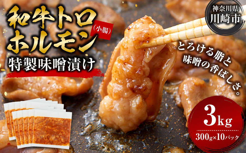 ＜訳アリ＞和牛トロホルモン　特製味噌漬け　3kg(300g×10）【順次発送】