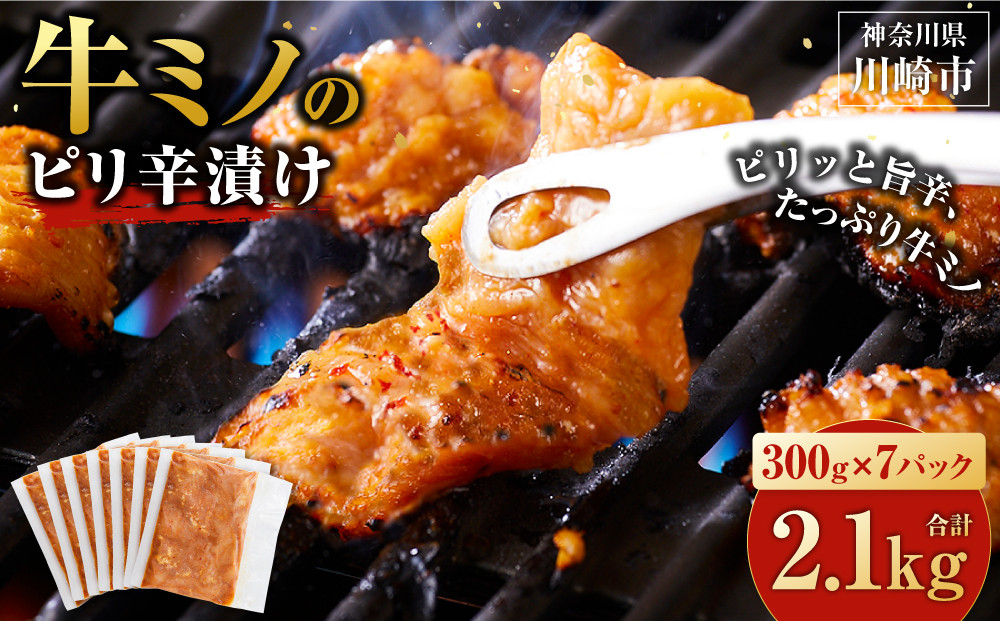 牛ミノ ピリ辛漬け 2.1kg ( 300g × 7パック ) 小分け 個包装 便利 牛肉 ホルモン ミノ 焼肉 焼き肉 お肉 肉 焼くだけ 冷凍 たれ 味付き BBQ アウトドア キャンプ 人気 おすすめ 神奈川 川崎【2026年10月発送】