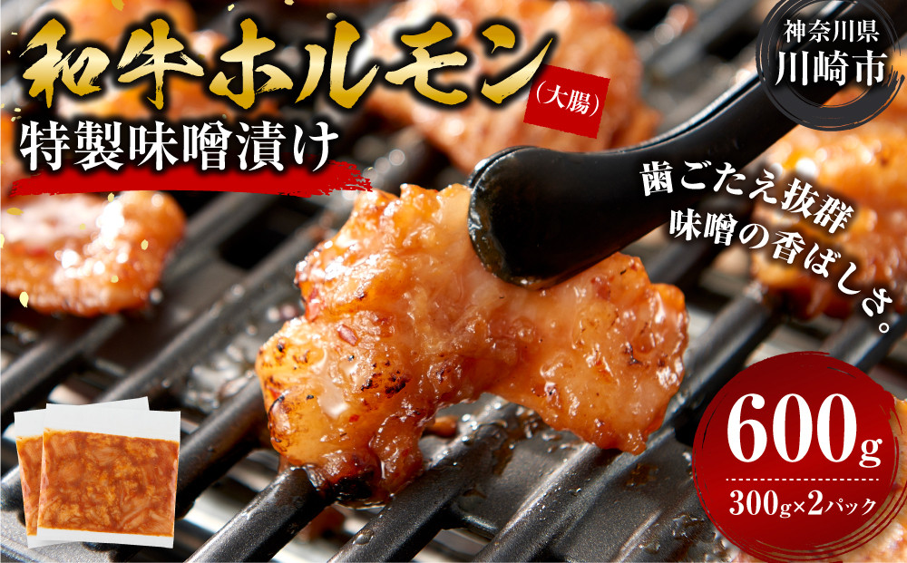 ＜訳アリ＞和牛ホルモン（大腸）　特製味噌漬け　0.6kg(300g×2）【12月発送】【kw0096-0030-12】