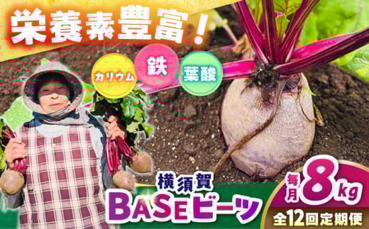 【全12回定期便】横須賀BASEビーツ 8kg（1kg×8袋）【ゆり子ファーム】 [AKCR009]