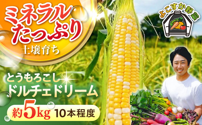 【先行予約】【数量限定100セット】とうもろこし　ドルチェドリーム　下処理済み　10本程度　約5kg（7月〜8月）【鈴也ファーム】 [AKCE026]
