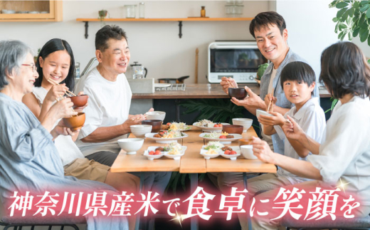 【数量限定100セット】令和7年産 お米 はるみ 10kg 米 お米 こめ おこめ コメ さっぱり 粘り うま味 精米 はるみ 神奈川県 神奈川  10キロ 特Ａ ランキング 【株式会社ヨコショク】 [AKGC002]