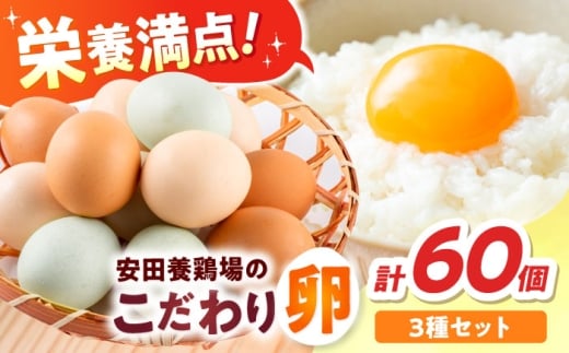 【年内発送の受付は12月18日まで！】安田養鶏場の卵 3種セット しおさい アトムくん タフラン 60個入り（各20個入り） 横須賀市 産地直送 割れ保証付き たまご 黄身 濃厚 卵 玉子 タマゴ 鶏卵  年内発送【安田養鶏場】 [AKHN007]