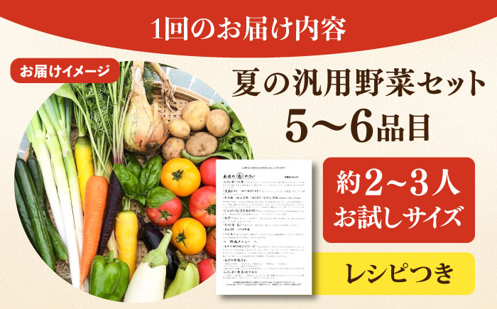 【先行予約】【全2回定期便】夏の汎用野菜セット（5〜6品目）夏（7月〜8月）【鈴也ファーム】 [AKCE028]