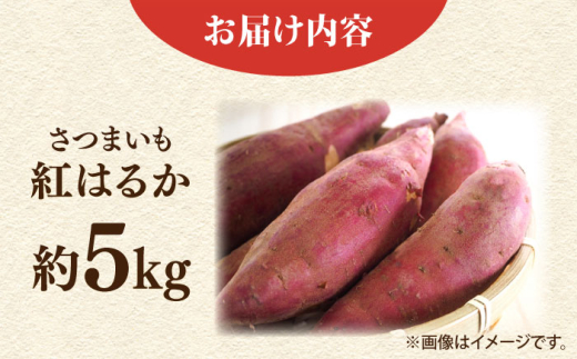 【先行予約】さつまいも 紅はるか 約5kg 野菜  やさい 【鈴也ファーム】 [AKCE025]