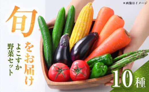 横須賀産野菜セット 10種 詰め合わせ　野菜 セット 詰め合わせ 横須賀 横須賀野菜 キャベツ 玉ねぎ ブロッコリー なす にんじん きゅうり さつまいも 里芋 ゴーヤ 大根 ほうれん草【横須賀商工会議所 おもてなしギフト事務局（三浦半島直売所）】 [AKES003]