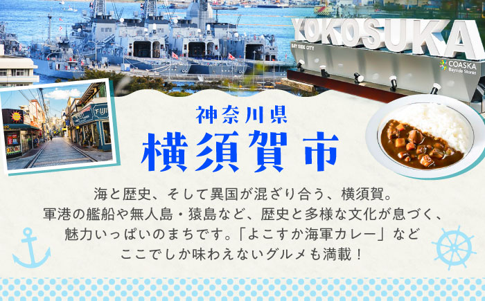 HISふるさと納税クーポン10,000円分 横須賀市／【株式会社エイチ・アイ・エス】 [AKIU003]