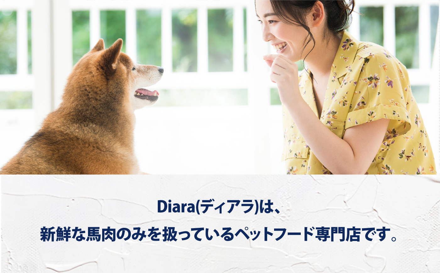 ドライ馬肉パーフェクトプラス スティック 50g×3袋【ディアラ】 [AKGU015]