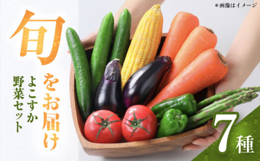 横須賀産野菜セット 7種 詰め合わせ 野菜 セット 詰め合わせ 横須賀 横須賀野菜 キャベツ 玉ねぎ ブロッコリー なす にんじん きゅうり さつまいも 里芋 ゴーヤ 大根 ほうれん草【横須賀商工会議所 おもてなしギフト事務局（三浦半島直売所）】 [AKES001]