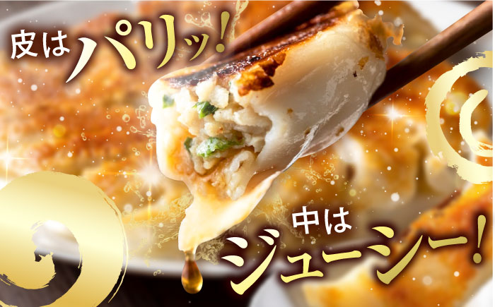 訳あり 本格　肉餃子 100個セット【株式会社オウモリ食品】 [AKHQ006]