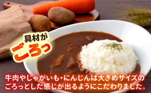 F・マリノスKURIHAMAカレー 220ｇ×10個セット マリノス カレー 横須賀 久里浜 レトルト  保存食【久里浜商店会協同組合】 [AKCA002]