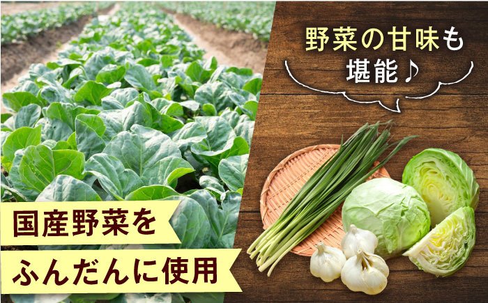 訳あり 本格　肉餃子 100個セット【株式会社オウモリ食品】 [AKHQ006]