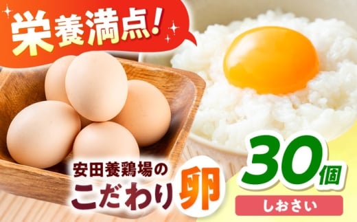 【年内発送の受付は12月18日まで！】【数量限定100セット】安田養鶏場の卵 しおさい 30個入り 神奈川県産 横須賀市 割れ保証付き たまご 卵 玉子 タマゴ 鶏卵 オムレツ 卵かけご飯 朝食 料理 人気 卵焼き 年内発送 【安田養鶏場】 [AKHN001]