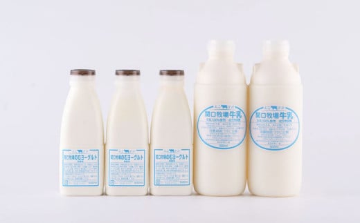 低温殺菌牛乳 ジャージー牛乳 牛乳 無添加 飲むヨーグルト ヨーグルト 冷蔵 冷蔵配送 飲み物 人気 5本セット【よこすか関口牧場】 [AKGN005]