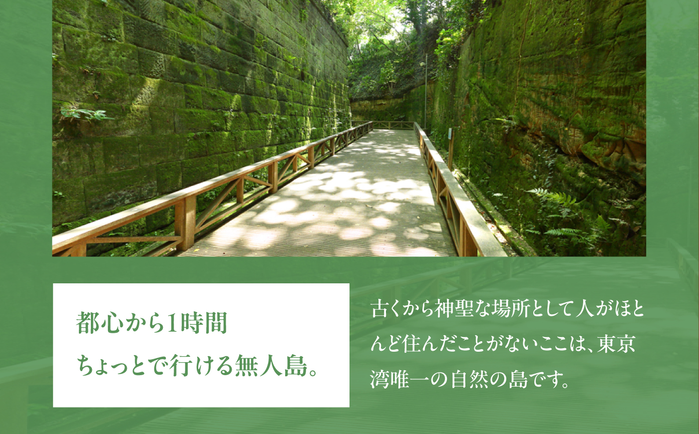 無人島・猿島航路の往復乗船券（ペア）【株式会社トライアングル】 [AKFY002]