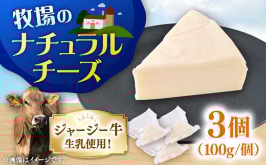 チーズ ナチュラルチーズ 3個セット【よこすか関口牧場】 [AKGN010]