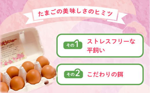 飼い方にこだわり餌にこだわった「姫様のたまご」 20個 卵 たまご 【横須賀商工会議所　おもてなしギフト事務局（岩沢ポートリー）】 [AKET007]