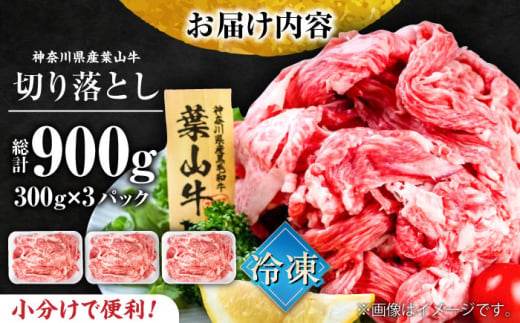 葉山牛 切り落とし300g×3パック 計900g 小分け 牛肉 切り落とし 横須賀 冷凍 【株式会社羽根】 [AKAG002]