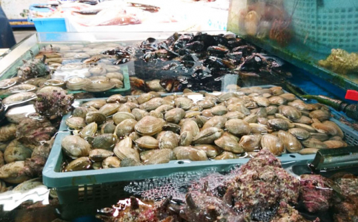 【全6回定期便】サザエ 1kg 6〜10個 三浦半島 さざえ バーベキュー BBQ 貝 直送 つぼ焼き 新鮮 獲れたて魚貝類 魚介類 魚介 海鮮 海の幸 名産品 特産品 定期【長井水産株式会社】 [AKAJ010]