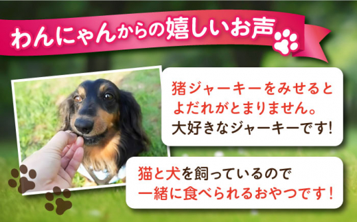 【全6回定期便】いのししジャーキー（60g×2袋） ペット 犬 猫 手作り 国産 てづくり こだわり ドッグフード  横須賀 【ペットフードYM japan】 [AKEX024]