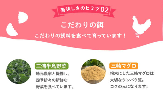 飼い方にこだわり餌にこだわった「姫様のたまご」 20個 卵 たまご 【横須賀商工会議所　おもてなしギフト事務局（岩沢ポートリー）】 [AKET007]