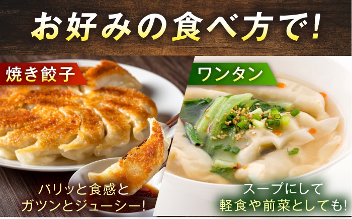 訳あり 本格　肉餃子 100個セット【株式会社オウモリ食品】 [AKHQ006]