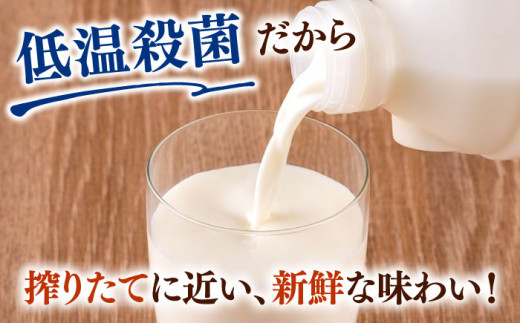 低温殺菌牛乳 ジャージー牛乳 牛乳 人気 6本セット【よこすか関口牧場】 [AKGN002]