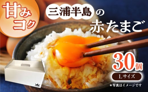 餌にこだわった三浦半島産赤たまご 30個 卵 たまご 【横須賀商工会議所　おもてなしギフト事務局（岩沢ポートリー）】 [AKET004]