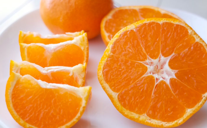 【年内発送の受付は12月22日まで！】温州みかん LLサイズ 約10kg 津久井浜みかん 蜜柑 ミカン 果物 柑橘 フルーツ 横須賀 年内発送【志村農園】 [AKGH004-3]