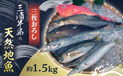 お刺身用 三浦半島の天然地魚 三枚おろし 約1.5kg 刺身 魚 処理済み 下処理済み 三枚おろし　【長井水産株式会社】 [AKAJ028]