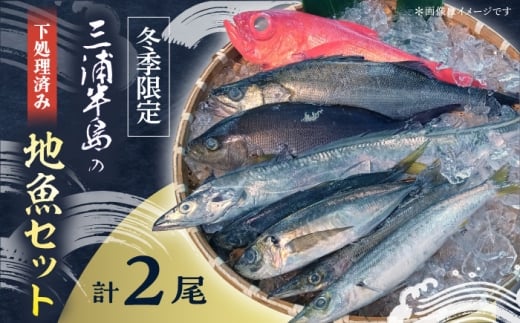 【先行予約】【冬季限定】下ごしらえ済 地魚セット 計2尾 鮮魚 処理済み 下処理済み キンメダイ クロムツ メダイ【長井水産株式会社】 [AKAJ032]