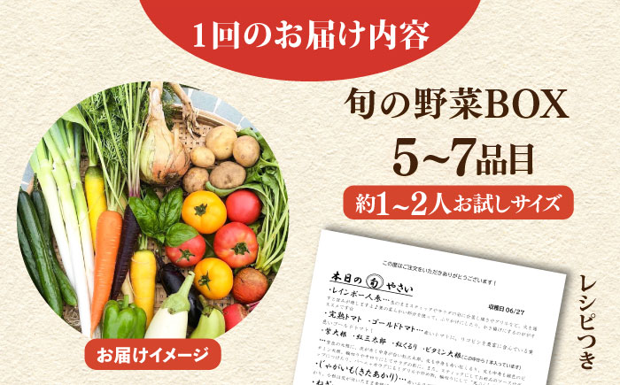 【全12回定期便】すずなり採れたて野菜BOX（5〜7品目）野菜セット 詰め合わせ 季節野菜 やさい 産地直送 旬 新鮮 横須賀【鈴也ファーム】 [AKCE004]