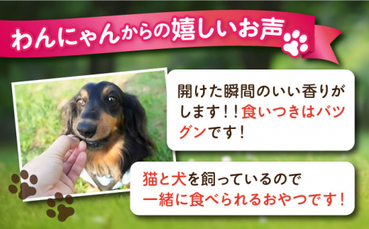 【全6回定期便】犬猫おやつ 三崎マグロジャーキー（80g×2袋） ペット 犬 猫 手作り 国産 てづくり こだわり ドッグフード  横須賀 【ペットフードYM japan】 [AKEX016]