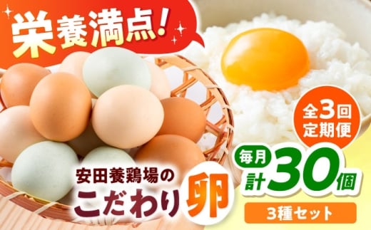 【全3回定期便】安田養鶏場の卵 3種セット しおさい アトムくん タフラン 30個入り（各10個入り） 横須賀市 産地直送 割れ保証付き たまご 黄身 濃厚 卵 玉子 タマゴ 鶏卵  【安田養鶏場】 [AKHN011]