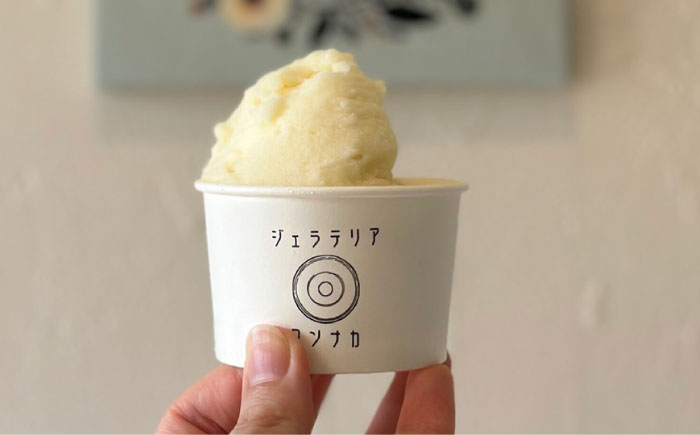 季節のジェラートおまかせ6点セット【ジェラテリア コンナカ】 [AKHT002]