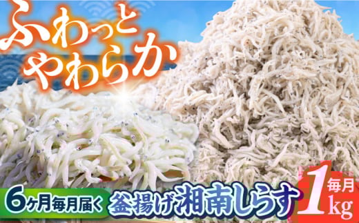 【全6回定期便】釜揚げ 湘南しらす 1kg / しらす 湘南 ふわふわ 食感 冷凍 国産 シラス お取り寄せ 人気 大容量 佐島 横須賀 かながわブランド 神奈川県【平敏丸】 [AKEZ012]