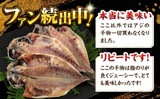 【訳あり】漁師町佐島 真アジの開き 約2.8kg（40枚前後）セット 干物 アジ 鯵 開き 魚 横須賀 冷凍干物 厳選干物 人気干物 干物セット【石川水産】 [AKCX001]