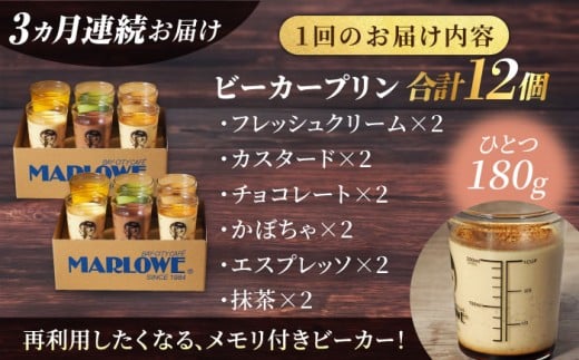 【全3回定期便】葉山ビーカープリン パーティーアソート セット 6種×2個 詰め合わせ（カスタード・かぼちゃ・抹茶・北海道フレッシュクリーム・エスプレッソ・チョコレート）プリン ぷりん スイーツ デザート パーティーセット 詰め合わせ 食べ比べ 焼きプリン 人気 お菓子 贈り物 贅沢 人気 ギフト ご褒美 洋菓子 おかし ビーカープリン プレゼント 横須賀【マーロウ】 [AKAF047]