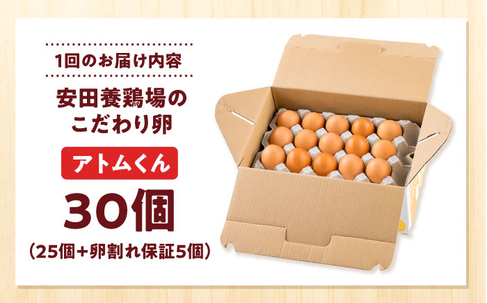 【全3回定期便】安田養鶏場の卵 アトムくん 30個入り 横須賀市 産地直送 割れ保証付き たまご 黄身 濃厚 卵 玉子 タマゴ 鶏卵  【安田養鶏場】 [AKHN009]