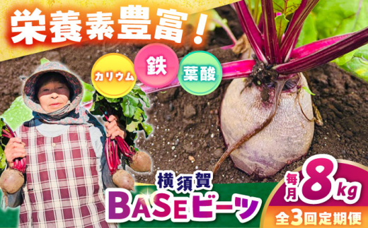 【全3回定期便】横須賀BASEビーツ 8kg（1kg×8袋）【ゆり子ファーム】 [AKCR007]