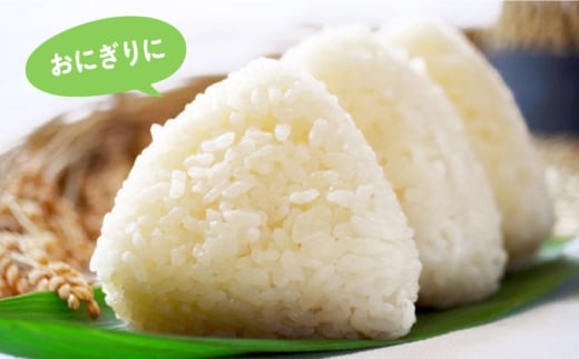 【数量限定100セット】令和7年産 お米 はるみ 10kg 米 お米 こめ おこめ コメ さっぱり 粘り うま味 精米 はるみ 神奈川県 神奈川  10キロ 特Ａ ランキング 【株式会社ヨコショク】 [AKGC002]