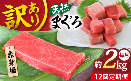 【全12回定期便】【訳あり】天然 まぐろ 赤身（約2kg） わけあり ワケあり 鮪 マグロ 魚 刺身 まぐろ あかみ 横須賀【本まぐろ直売所】 [AKAK061]
