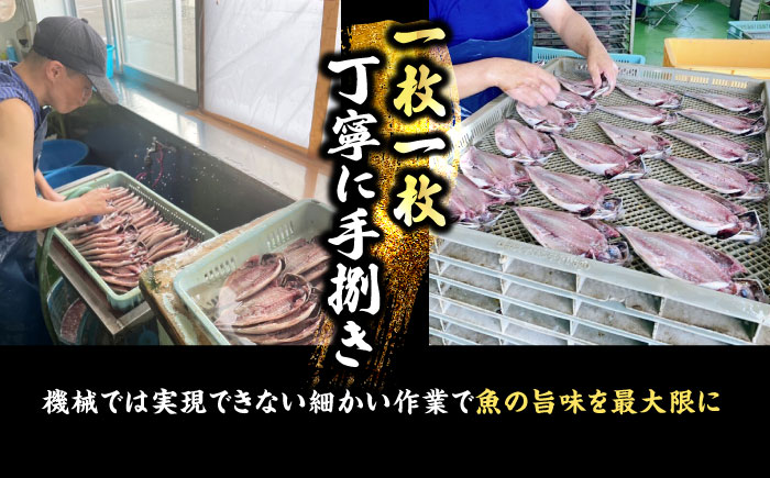 【全3回定期便】 【訳あり】漁師町佐島 真アジの開き 約1.4kg（20枚前後）セット 干物 横須賀 【石川水産】 [AKCX017]