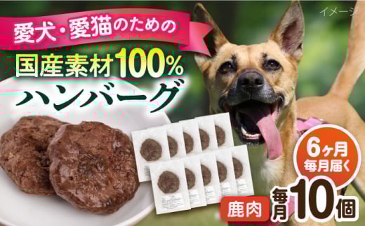 【全6回定期便】ペットフード 鹿肉 100%ハンバーグ 10個セット ペット 犬 猫 手作り 国産 てづくり こだわり ドッグフード  横須賀 【ペットフードYM japan】 [AKEX012]