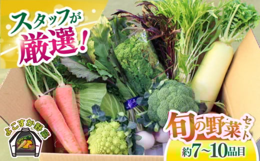 よこすか野菜セット すかなボックス 野菜 お野菜 季節野菜 やさい 詰め合わせ 詰合せ セット お楽しみ 産地直送 旬 厳選 すかなごっそ 農産物 神奈川県 横須賀市【JAよこすか葉山】 [AKFO001]