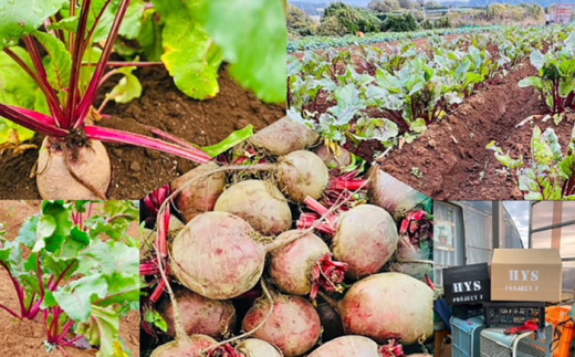 【全12回定期便】横須賀BASEビーツ 4kg（1kg×4袋）【ゆり子ファーム】 [AKCR006]