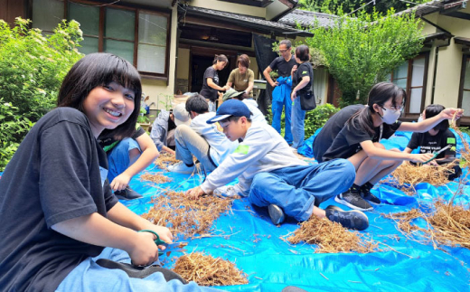 【数量限定100セット】カモミール　ハンドクリーム 2本セット　【グローカルデザインスクール株式会社】 [AKCP003]