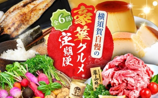 【全6回定期便】横須賀 豪華 ！グルメ 定期便 [AKZZ017]